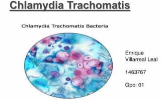 Хламидия Трахоматис Chlamydia trachomatis у женщин