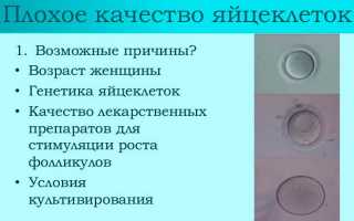 Способы улучшения качества яйцеклеток