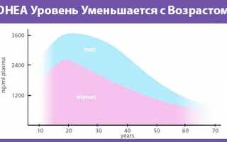 Инструкция по применению препарата Dhea