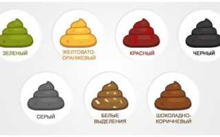Из чего состоит кал человека?