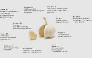 Очищение организма чесноком