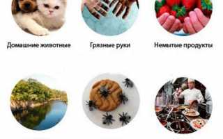 Паразиты живущие в человеке