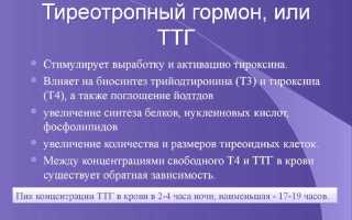 Таблица нормальных показателей анализа ТТГ