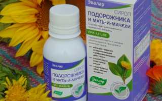 Мать-и-мачеха – рецепты лекарственных средств от кашля