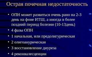 Опасная патология, развивающаяся при нарушении гомеостатической функции парного орагана – острая почечная недостаточность: патогенез и клинические рекомендации