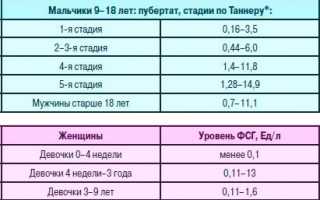 Показатель ФСГ у мужчин