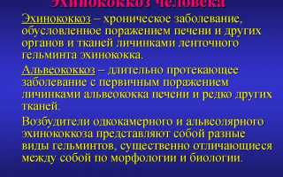 Эхинококк у человека: симптомы и лечение