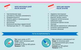 Имплантация 5 дневного эмбриона после переноса