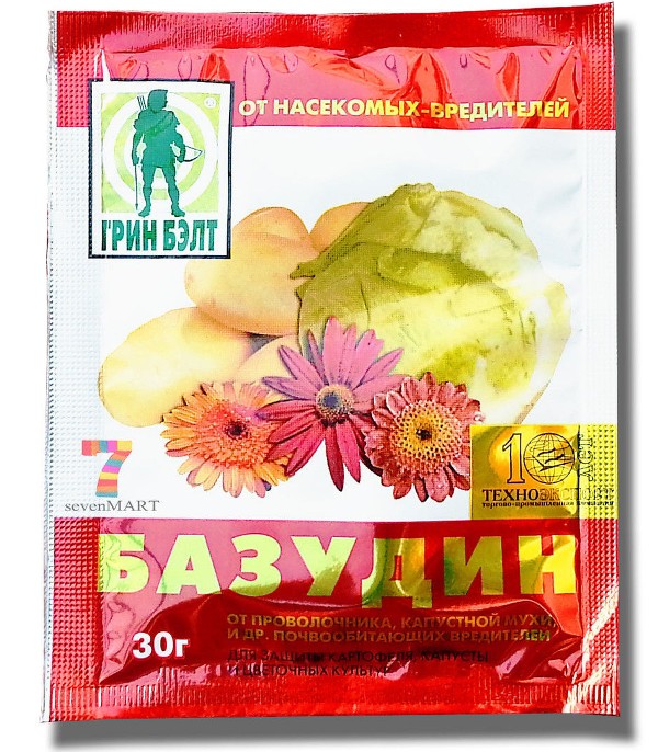 Базудин