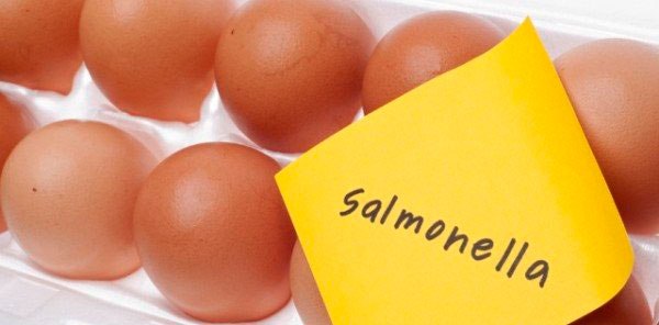 сальмонелла в продуктах питания