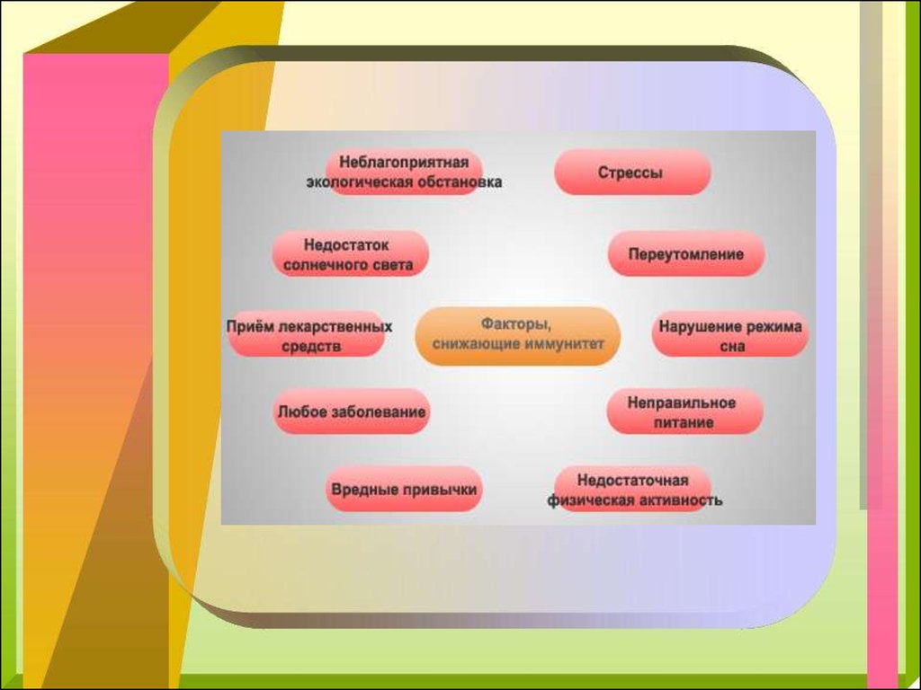 Иммуномодуляторы