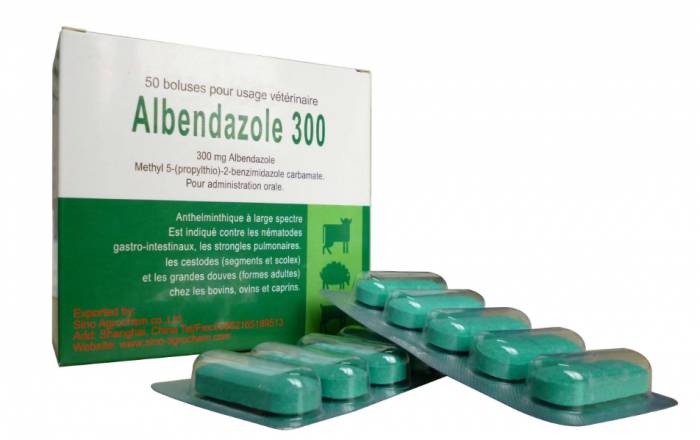 Албендазол 